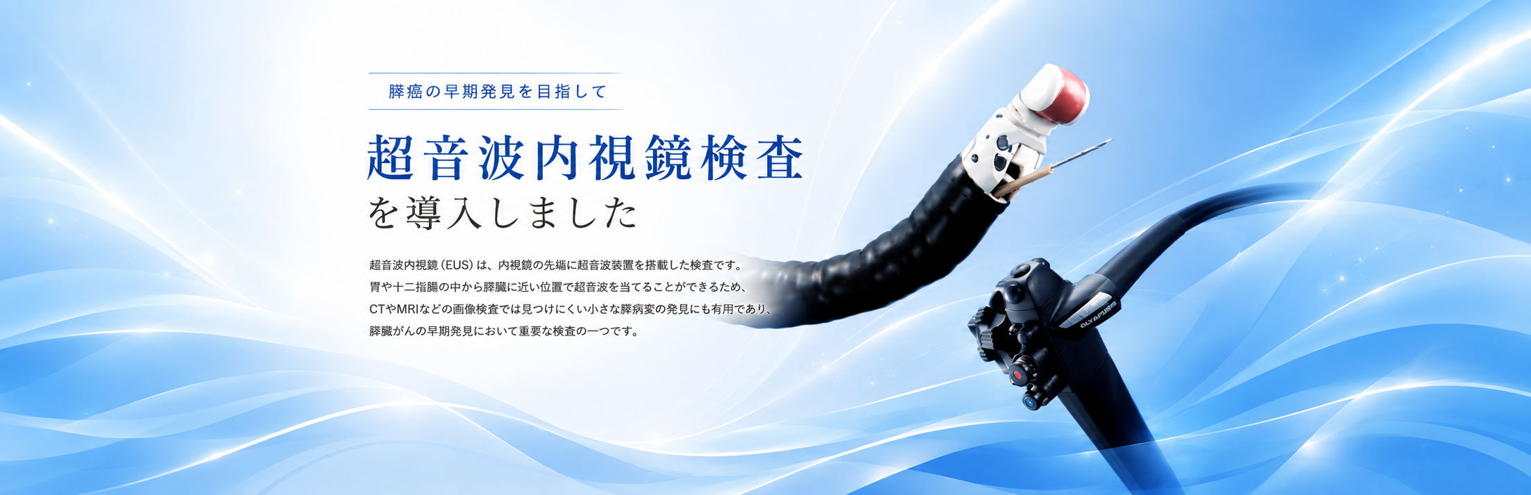 EUS導入